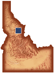Moose Creek