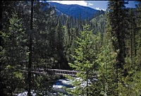 Bridge Over the Selway River