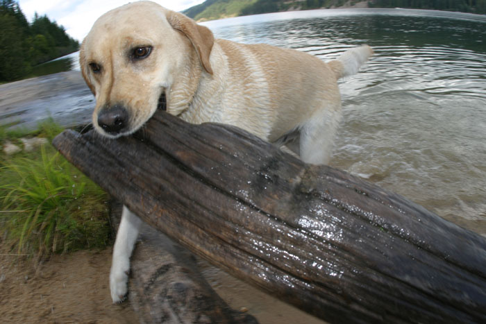 Playing in Priest Lake, ID
