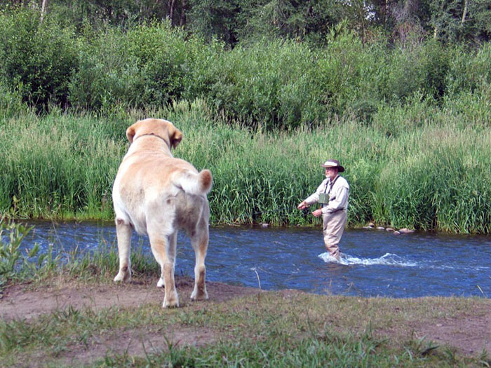Fishing in Grand County, CO